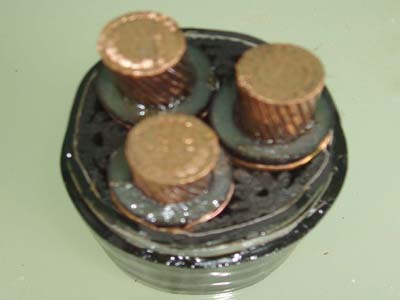 交联电力万象城官方网站