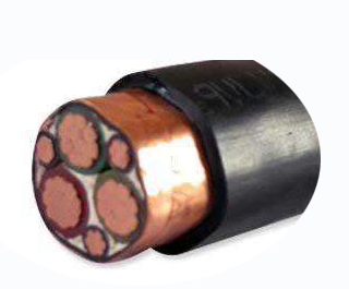 变频器专用电力万象城官方网站